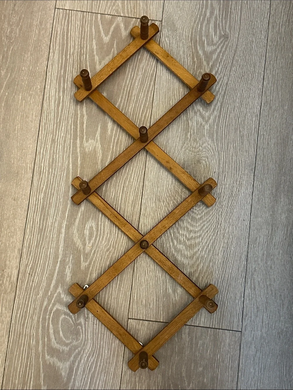 Vintage Accordion Hook